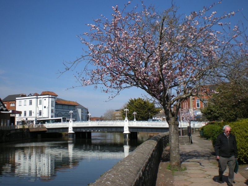 Taunton Bridge